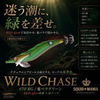 画像1: WILD CHASE 3.0号 (70) RG/鬼ベラグリーン