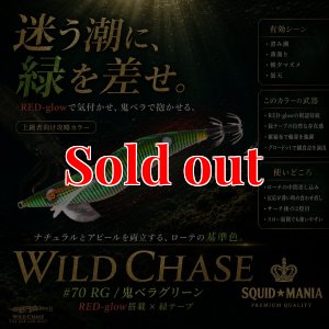 画像1: WILD CHASE 3.0号 (70) RG/鬼ベラグリーン (1)