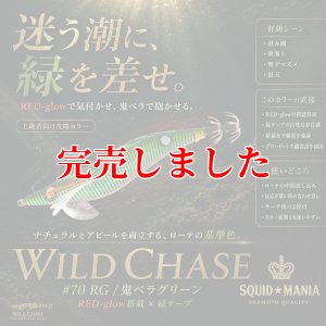画像1: 3.0号 (70) RG/鬼ベラグリーン (1)