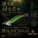 画像1: WILD CHASE 3.0号 (70) RG/鬼ベラグリーン (1)