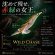 画像1: WILD CHASE 3.5号 (75)  NIGHT QUEEN (1)