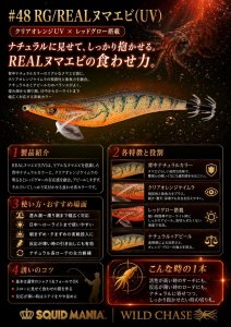 画像1: WILD CHASE  3.5号シャロー (48) RG/REALヌマエビ(UV) (1)