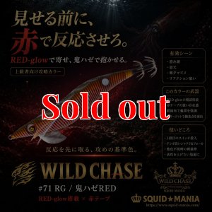 画像1: WILD CHASE 3.0号 (71) RG/鬼ハゼレッド (1)