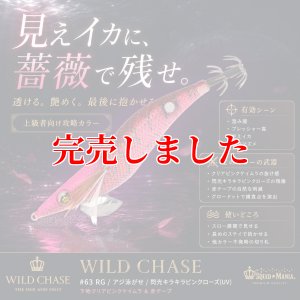 画像1: 3.5号SS (63) RG/閃光キラキラピンクローズ(UV) (1)