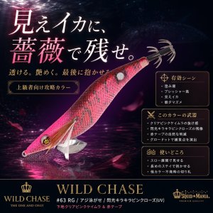 画像1: WILD CHASE 3.5号 (63) RG/閃光キラキラピンクローズ(UV) (1)