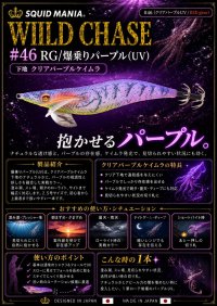 画像3: WILD CHASE 3.5号(46)RG/爆乗りパープル (UV)