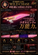 限定カスタムバランサー Prism PINK (Double Almite仕様) - エギング
