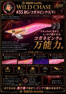 画像1: WILD CHASE 3.0号 (55) RG/コガネピンク(UV) (1)