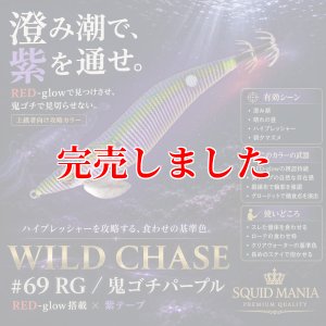 画像1: 3.5号S (69) RG/鬼ゴチパープル (1)