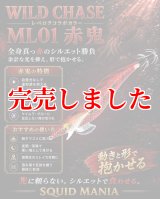 ZERO-G GVX 冴 704 虎徹 MX -FIRE RED- - エギングショップ SQUID MANIA
