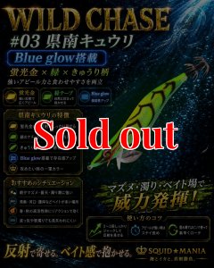 画像1: WILD CHASE 3.0号（03）県南キュウリ (1)