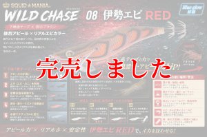 画像1: 3.5号RT（08）伊勢エビRED (1)
