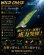 画像1: WILD CHASE 3.5号（09）MAD GOLD メタグリーン (1)