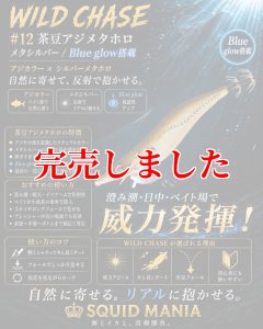 画像1: 3.5号RT (12）茶豆アジメタホロ (1)