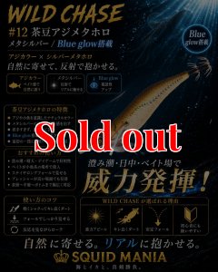 画像1: WILD CHASE 2.5号（12）茶豆アジメタホロ (1)