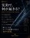 画像13: ZERO-G GVX 影 708 ZMX SHADIA ( 10月発売予定 ) (13)