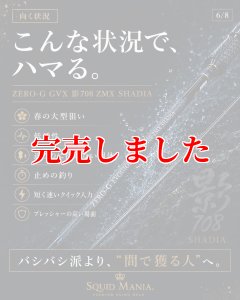画像12: ZERO-G GVX 影 708 ZMX SHADIA  (12)