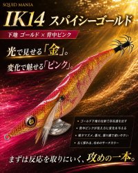 画像1: 3.5号 #IK14 スパイシーゴールド