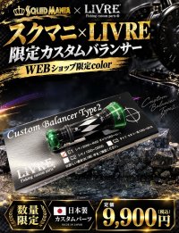 画像1: スクマニ×LIVRE限定カスタムバランサー/BLACK・グリーン type-2 / C1