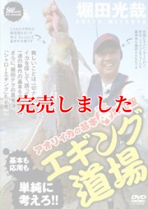 画像1: エギング道場 　アオリイカの基本 決定版 対応策 (1)