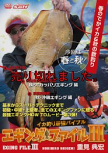 画像1: エギングファイル 3  山口県下関&兵庫県淡路島 (1)