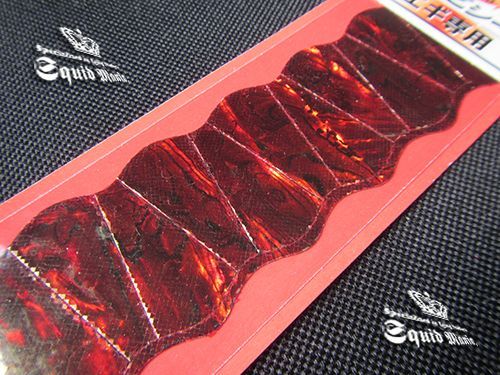 SQUID MANIA限定あわび / 夢幻レッド 初入荷！
