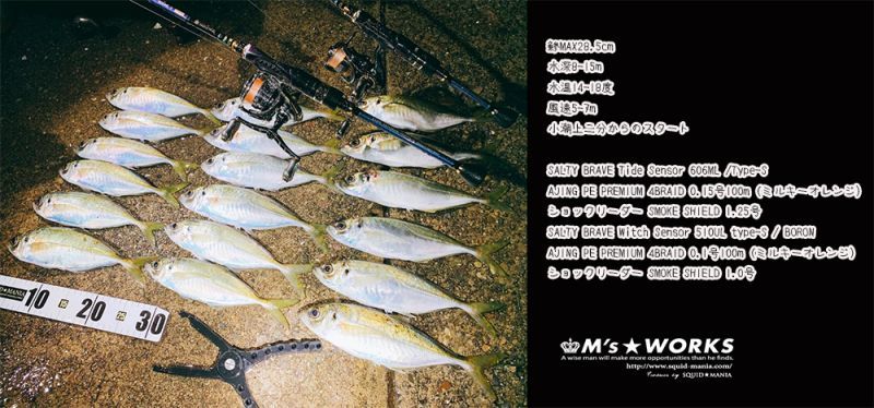 限定/SALTY BRAVE Witch Sensor 510UL type-S / BLACK STYLE 