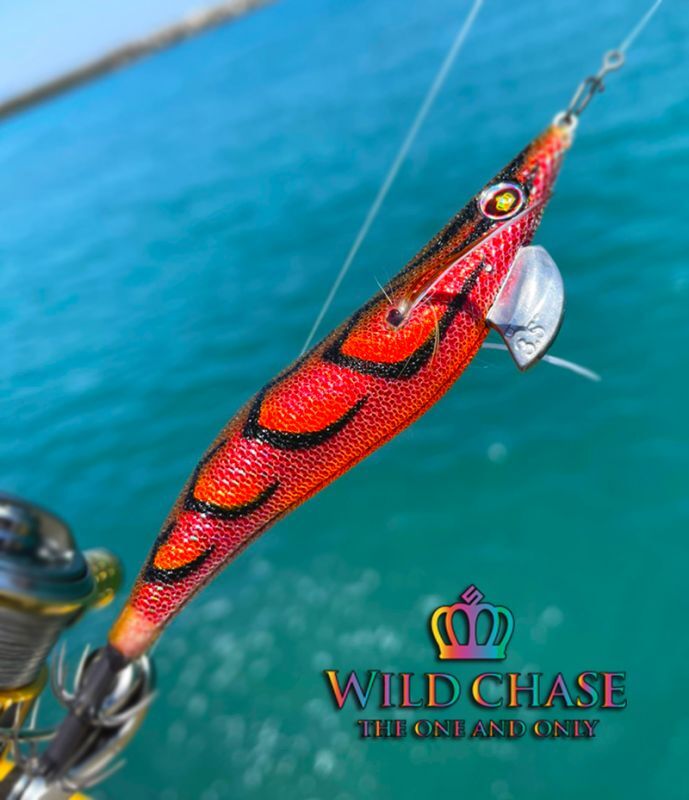 WILD CHASE 3.5号（08）伊勢エビRED