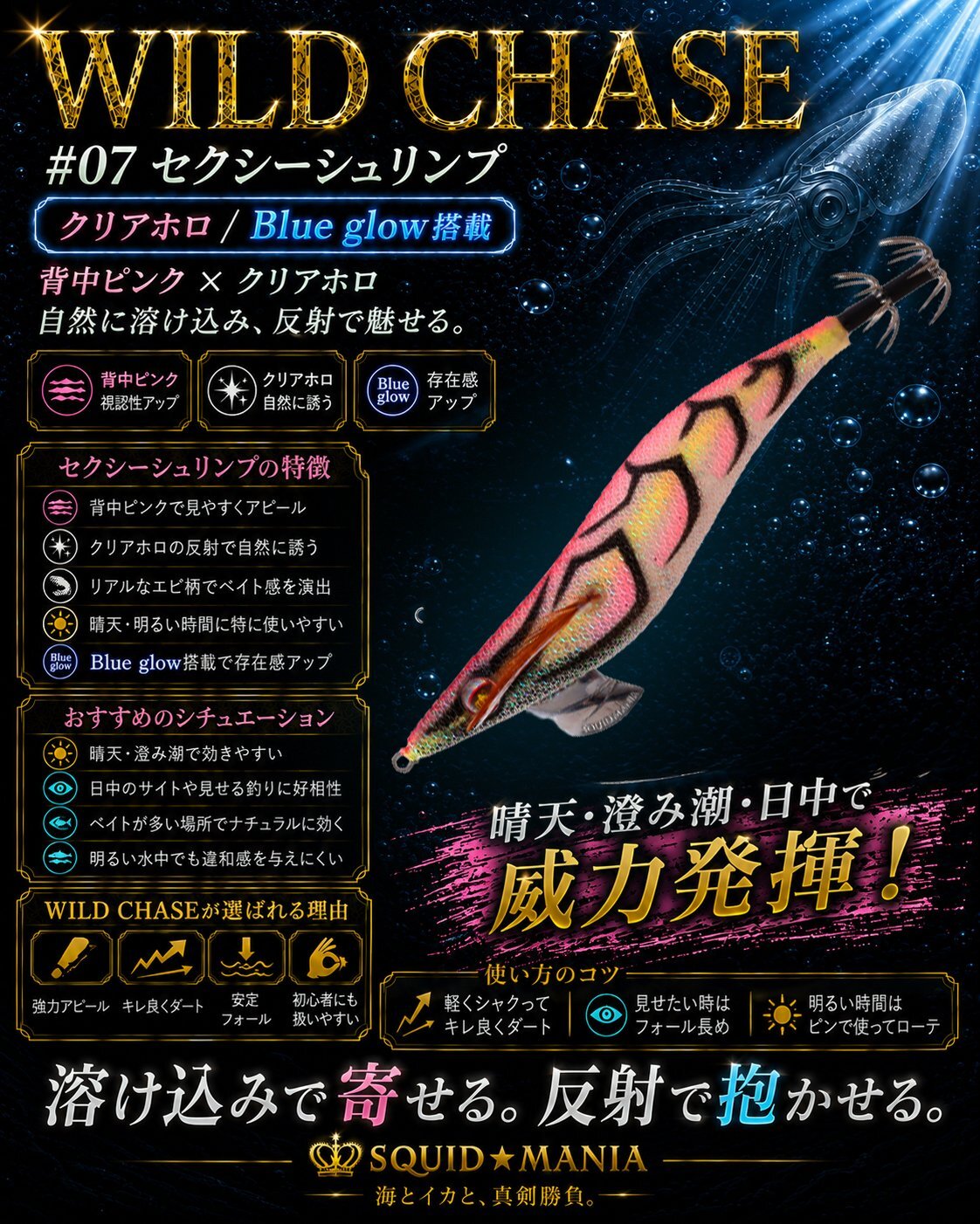 WILD CHASE 3.5号ラトル（07）セクシーシュリンプ - エギングショップ